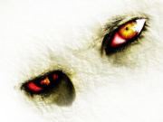 WOLFWARRIOR